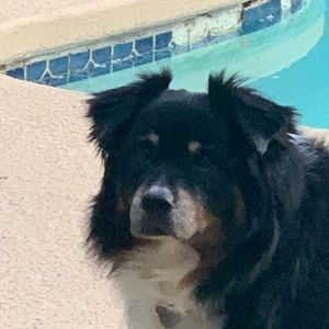 Meet your Posher, Charles